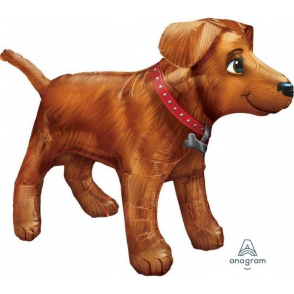 Supershapes | Ultrashape Golden Dog Foil Balloon – 91Cm X 60Cm